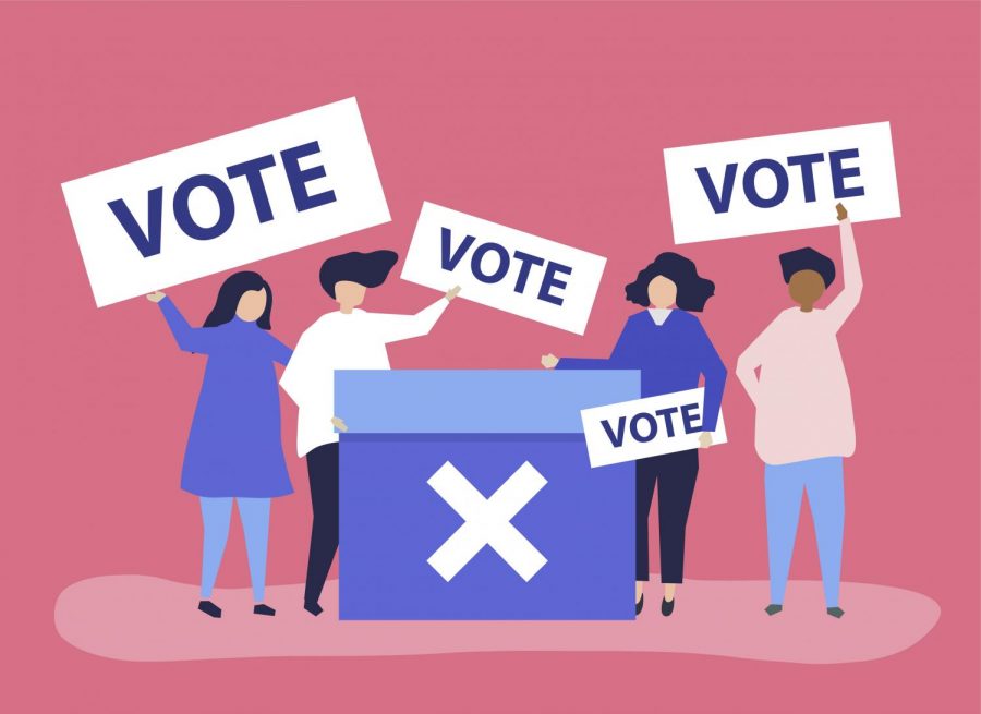 Registering and Voting in This Year's Election: A How-To Guide